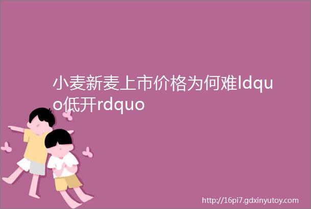 小麦新麦上市价格为何难ldquo低开rdquo